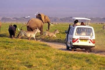 4 Days Kenya Road Safari Package to Tsavo East, West and Amboseli Safari from Mombasa